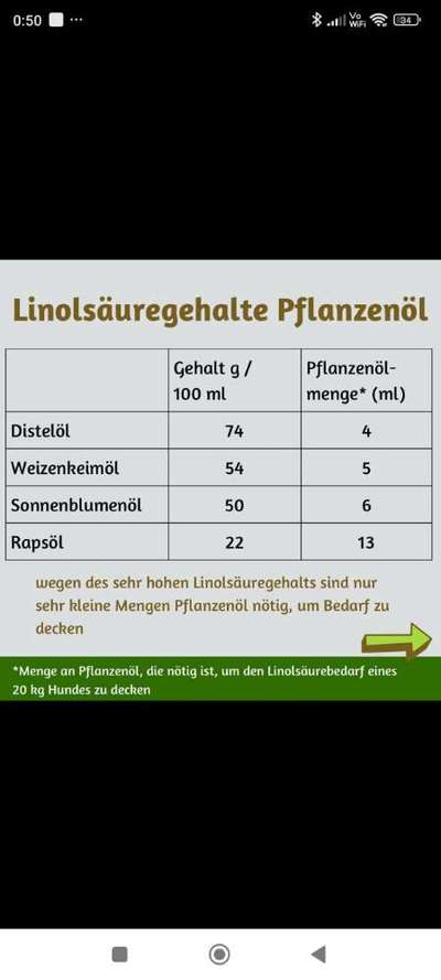 Barfen - Ölzugabe-Beitrag-Bild
