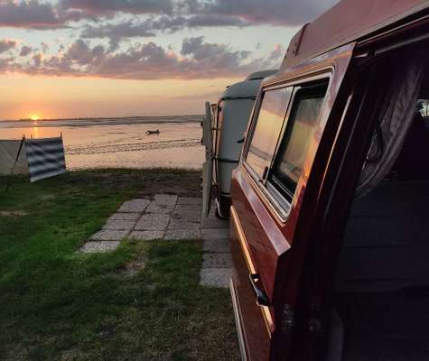 Camping mit Hund/en-Beitrag-Bild