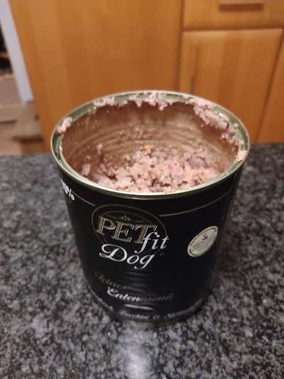 Alternative Trockenfutter Irish Setter-Beitrag-Bild