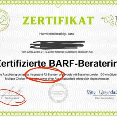 Fidelis Hundefutter-Beitrag-Bild