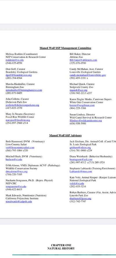 Gutes Trockenfutter mit hohem Fleischanteil-Beitrag-Bild