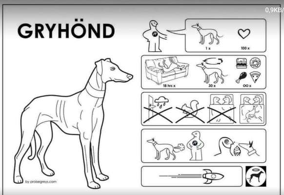 Windhunde - Treffen der besonderen Schönheiten
HERZLICH WILLKOMMEN-Beitrag-Bild