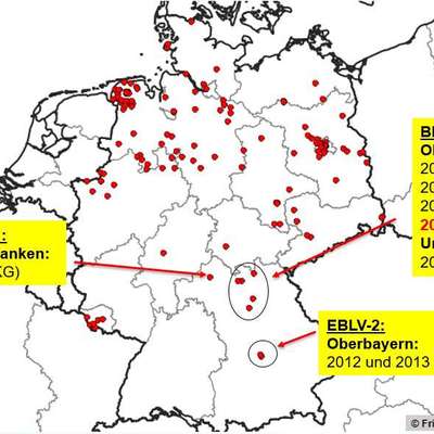 Welche Impfungen sollte man auf jeden Fall machen ?-Beitrag-Bild