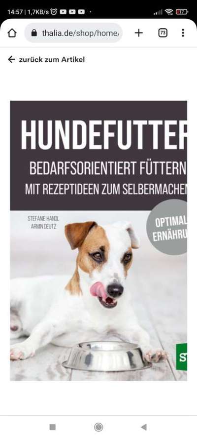 Ernährung bei Allergien-Beitrag-Bild