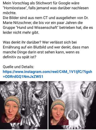 Hochwertiges / Bedarfsgerechtes Nassfutter (ohne Barfen), welches nur?-Beitrag-Bild