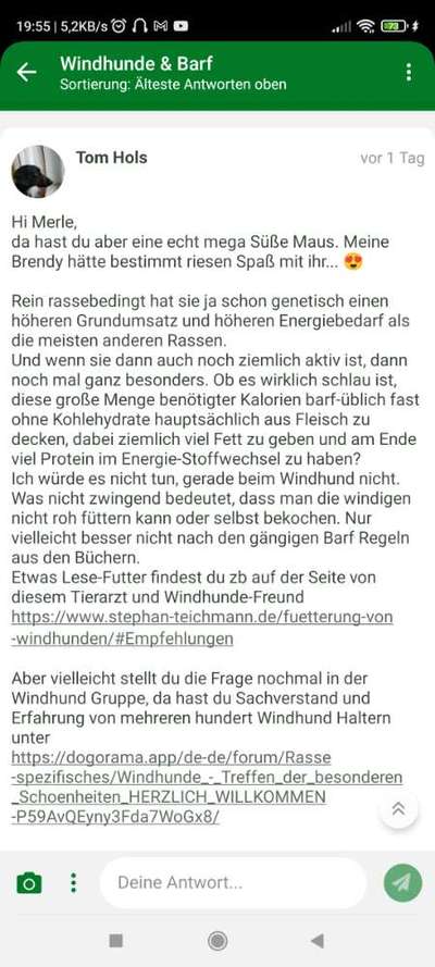 Windhunde - Treffen der besonderen Schönheiten
HERZLICH WILLKOMMEN-Beitrag-Bild