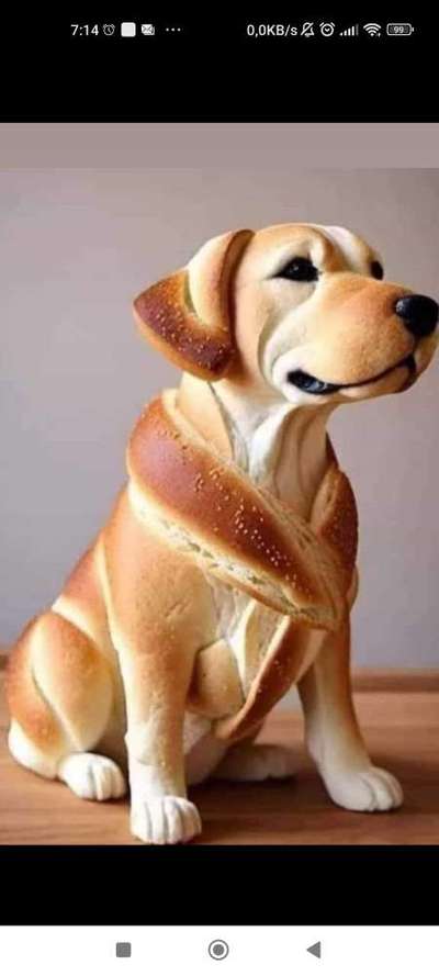 Hunde Memes-Beitrag-Bild