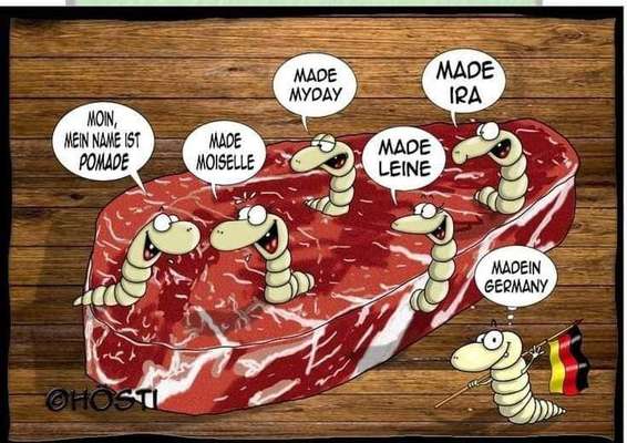 Hunde Memes-Beitrag-Bild