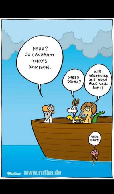 Hunde Memes-Beitrag-Bild