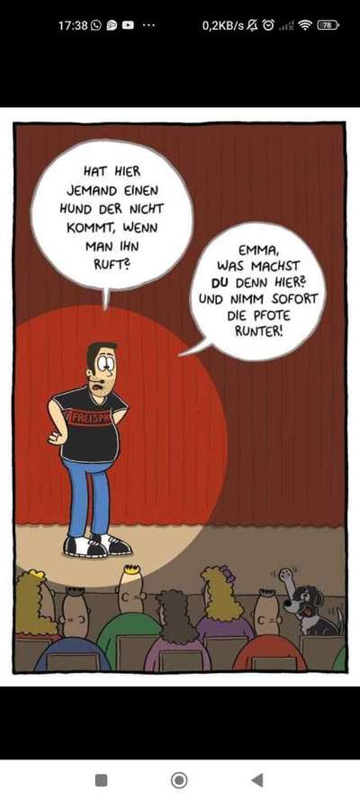 Hunde Memes-Beitrag-Bild