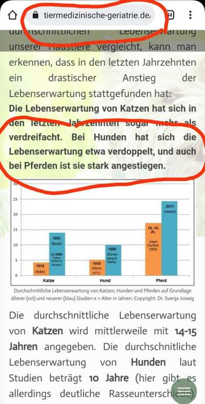 Nassfutter alles wichtige drin?-Beitrag-Bild