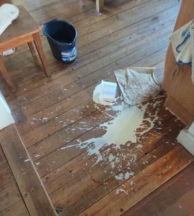 Windhunde - Treffen der besonderen Schönheiten
HERZLICH WILLKOMMEN-Beitrag-Bild