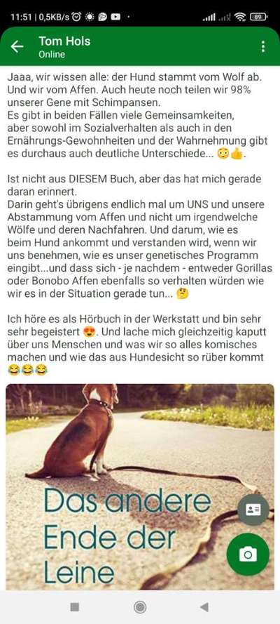 Aggresives Verhalten gegenüber meinem Hund-Beitrag-Bild