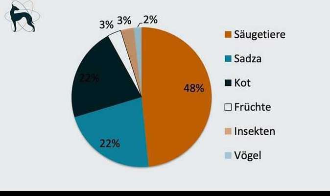 Gutes Trockenfutter mit hohem Fleischanteil-Beitrag-Bild