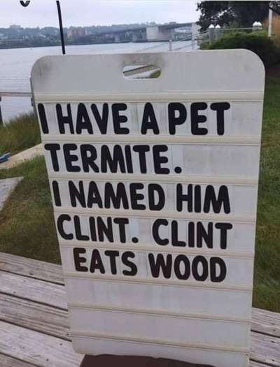 Hunde Memes-Beitrag-Bild