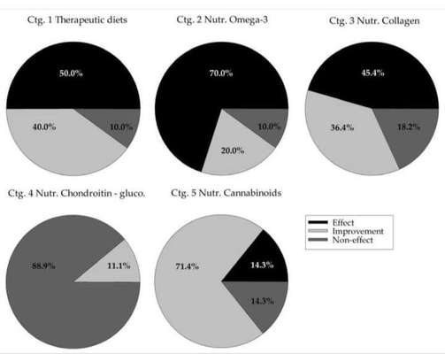 Ziegenmilch Pulver-Beitrag-Bild