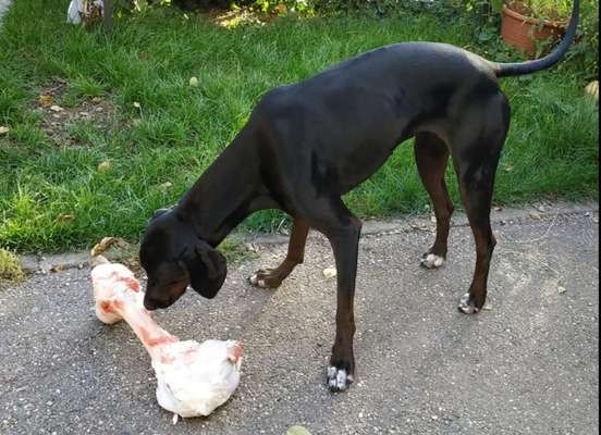 Ist das ein...?-Beitrag-Bild