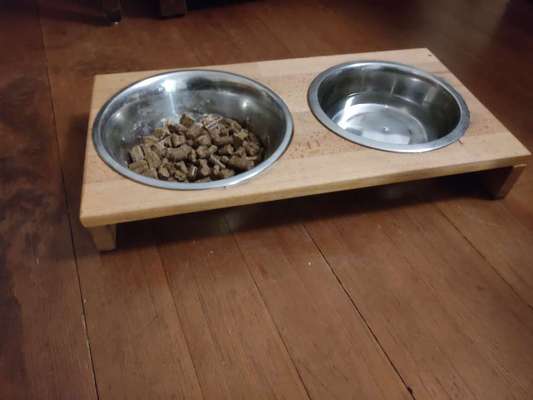 Windhunde - Treffen der besonderen Schönheiten
HERZLICH WILLKOMMEN-Beitrag-Bild