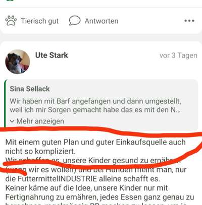 Welches Futter nehmt ihr?-Beitrag-Bild