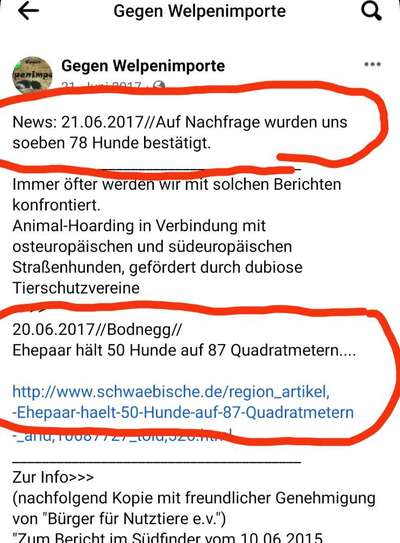 Windhunde - Treffen der besonderen Schönheiten
HERZLICH WILLKOMMEN-Beitrag-Bild