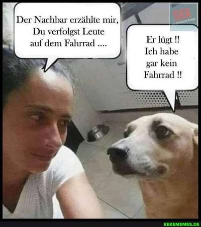 Hunde Memes-Beitrag-Bild