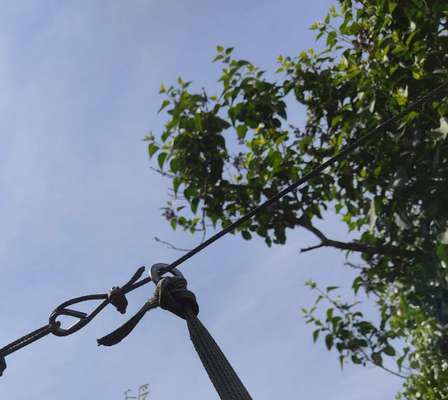 Windhunde - Treffen der besonderen Schönheiten
HERZLICH WILLKOMMEN-Beitrag-Bild