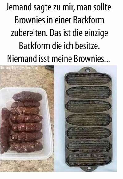 Hunde Memes-Beitrag-Bild