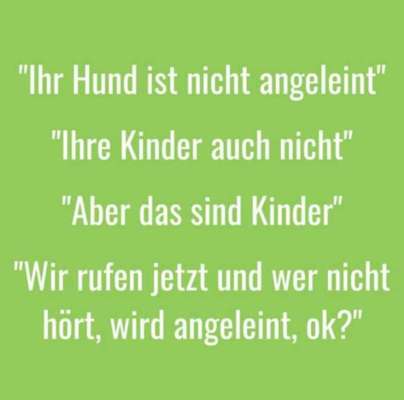 LEINENPFLICHT AM RHEIN-Beitrag-Bild