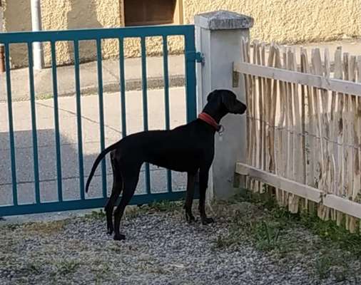 Der Gewichts-Thread-Beitrag-Bild