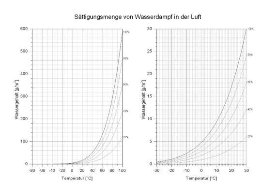 Kaltgepresstes Trockenfutter mit in den Urlaub nehmen-Beitrag-Bild