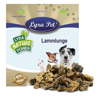 Suche Leckerli für Furbo-Beitrag-Bild