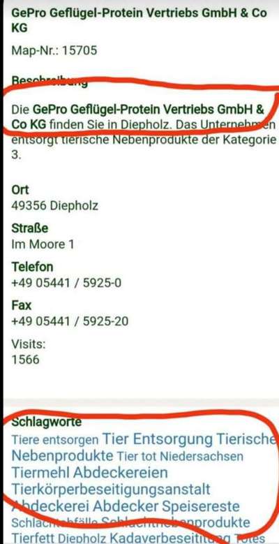 Ist Trockenfutter schädlich?-Beitrag-Bild