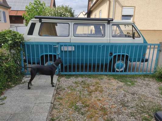 23. Farben / Fotochallenge - Türkis --Beitrag-Bild