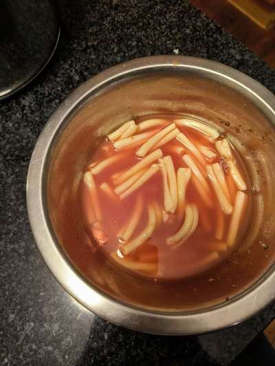 Zeigt her Eure Futternäpfe-Beitrag-Bild