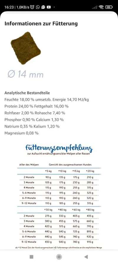 Ist mein Hundefutter gut?-Beitrag-Bild