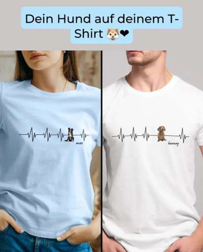 Hunde Memes-Beitrag-Bild