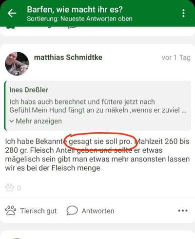 Barfen, wie macht ihr es?-Beitrag-Bild