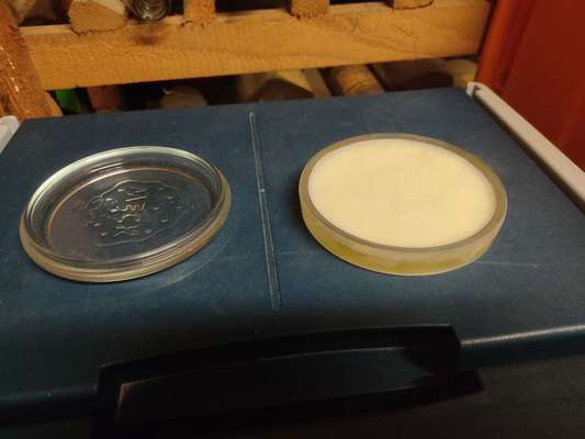 Hundeeis selber machen. Tipps?-Beitrag-Bild