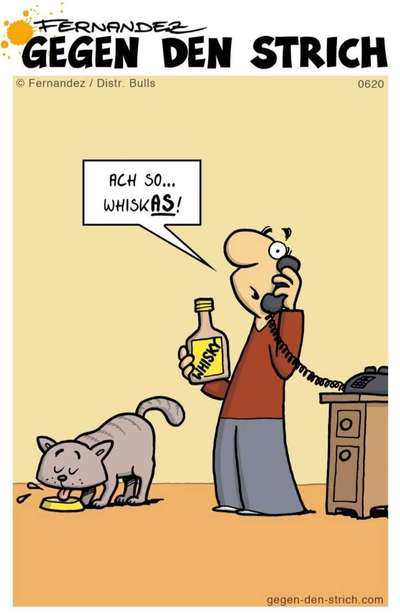 Hunde Memes-Beitrag-Bild