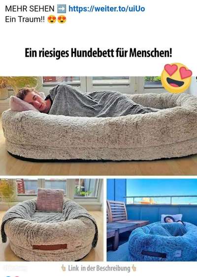 Hunde Memes-Beitrag-Bild