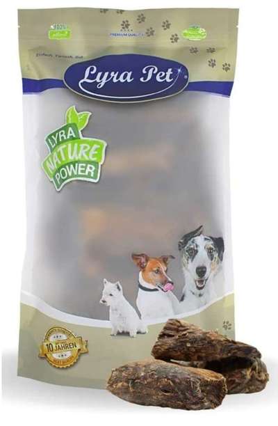 Suche Leckerli für Furbo-Beitrag-Bild