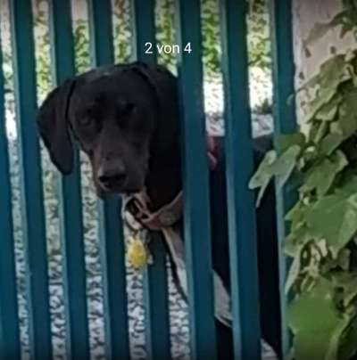 Ist das ein...?-Beitrag-Bild