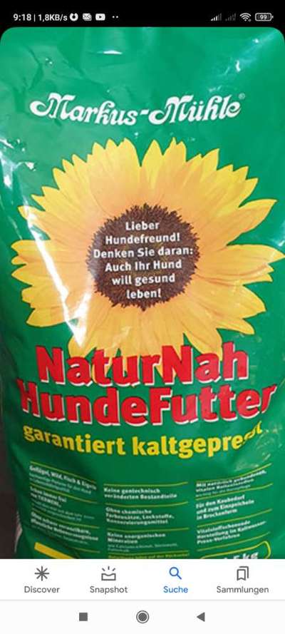 Windhunde - Treffen der besonderen Schönheiten
HERZLICH WILLKOMMEN-Beitrag-Bild