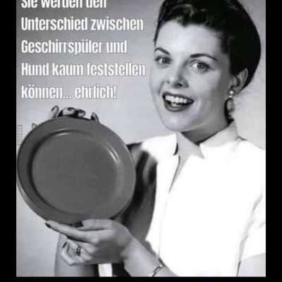 Hunde Memes-Beitrag-Bild