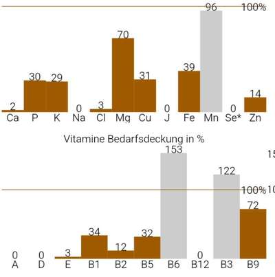 Gutes Trockenfutter mit hohem Fleischanteil-Beitrag-Bild