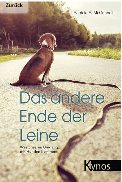 Gute Hundebücher-Beitrag-Bild