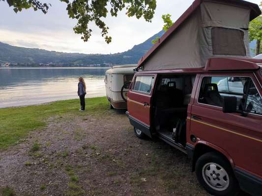 Camping mit Hund/en-Beitrag-Bild