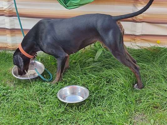 Der Gewichts-Thread-Beitrag-Bild