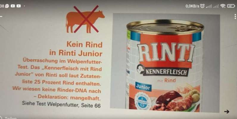 Allergiker-Hunde-Beitrag-Bild