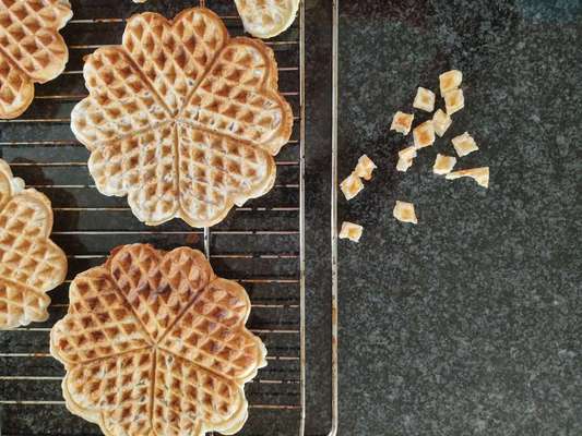 Heute gibt es.....der "ich mach die Leckerlis-Selber-Thread"-Beitrag-Bild